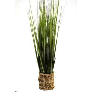 Товары для дома