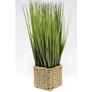 Товары для дома