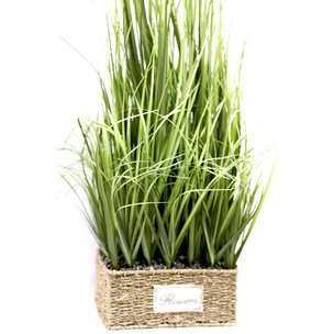 Товары для дома