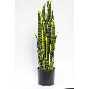 Товары для дома