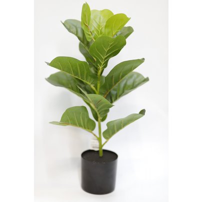 Товары для дома