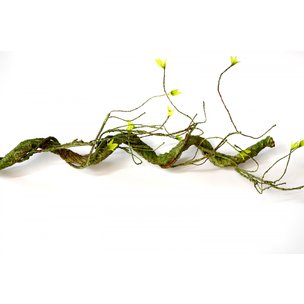 Товары для дома