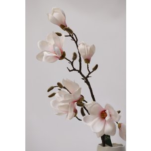 Товары для дома