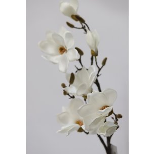 Товары для дома