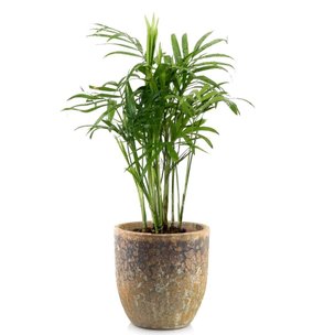 Товары для дома