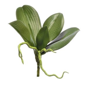 Товары для дома