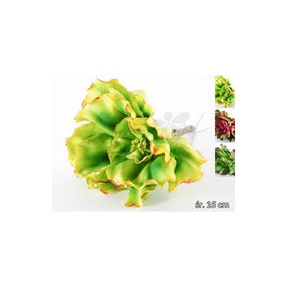 Товары для дома