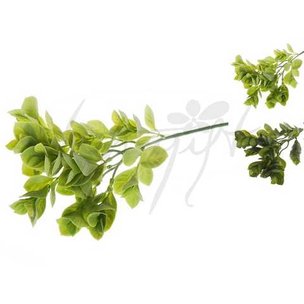 Товары для дома