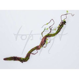 Товары для дома