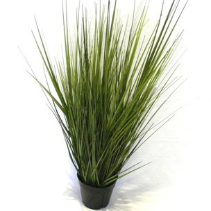 Товары для дома