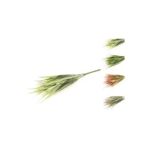 Товары для дома