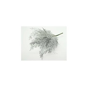 Товары для дома