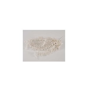 Товары для дома