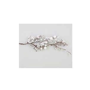 Товары для дома